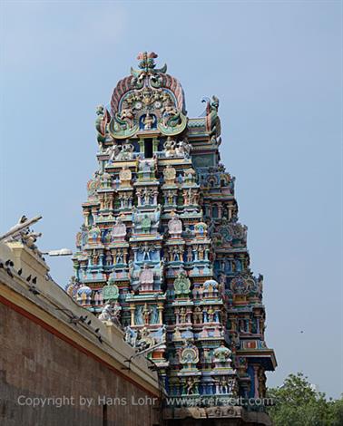 Meenakshi Temple, Madurai,_DSC_8077_H600